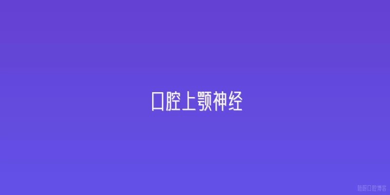 口腔上颚神经