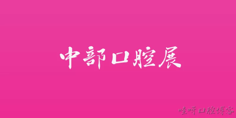 中部口腔展