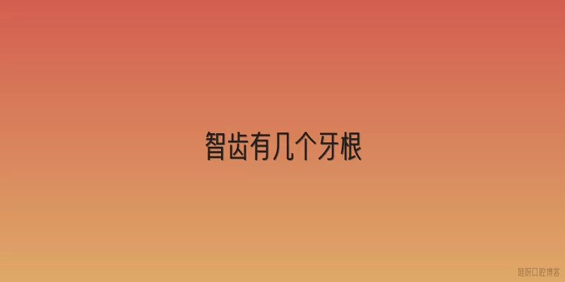 智齿有几个牙根