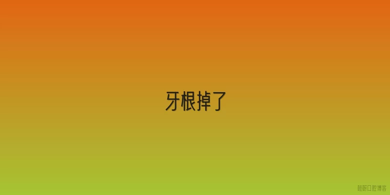 牙根掉了