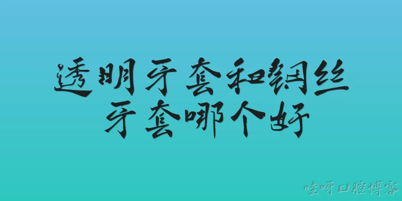 透明牙套和钢丝牙套哪个好